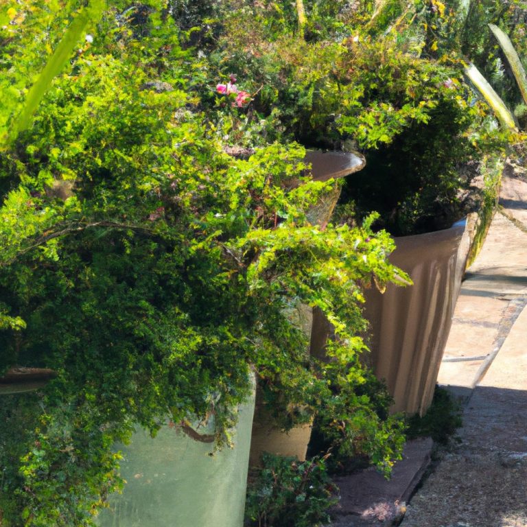 Comment aménager un jardin écologique : les étapes à suivre